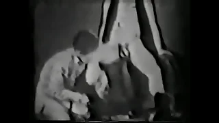 6239 gay hardcore porn videos